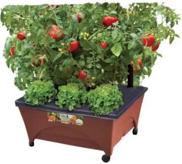 City Pickers Instructions Home Depot Patio Raised Garden Bed Grow-PRODUCT