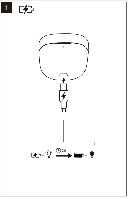 Charging Instruction