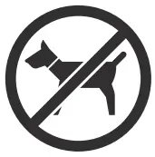 MD SPORTS TT418Y22003 Modern Midcentury Tennis Table- fig5