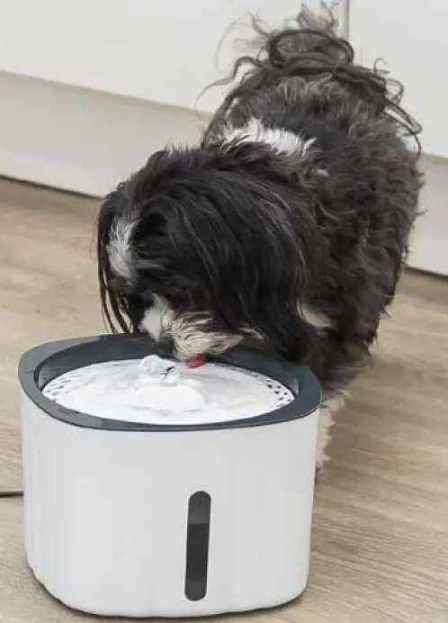 TRIXIE-24446-Drinking-Fountain-Flower-fig-4