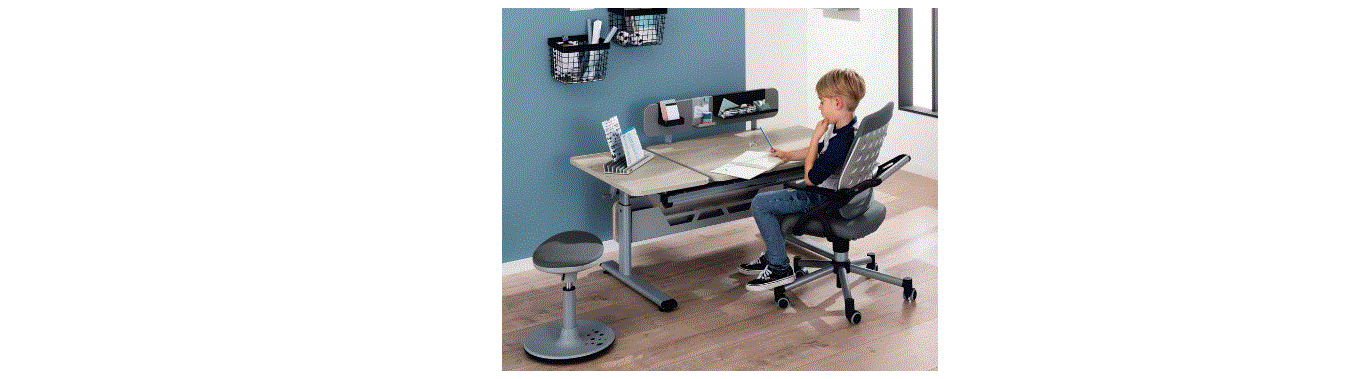 Paidi 2791 Desk Diego Instructions Paidi 2791 Desk Diego Instructions