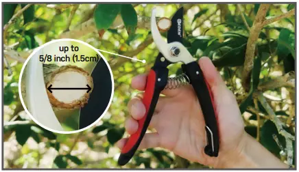 EDEN 39005EDAMZ Effortless Bypass Pruning Shears-fig3