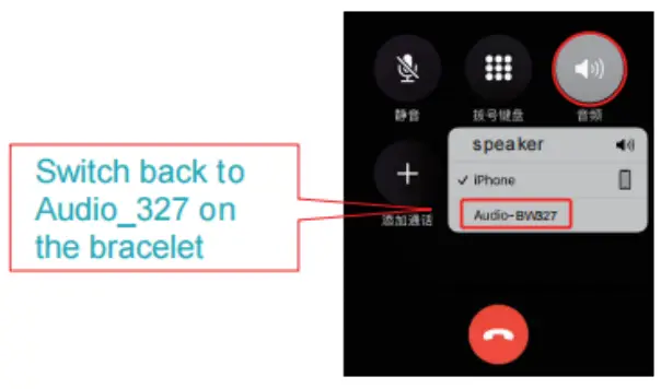Connect the Bluetooth Call function