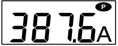 CHAUVIN ARNOUX P01102904 Flexible Current Meter - MAX function
