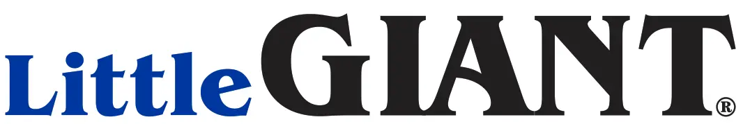 Little GIANT logo