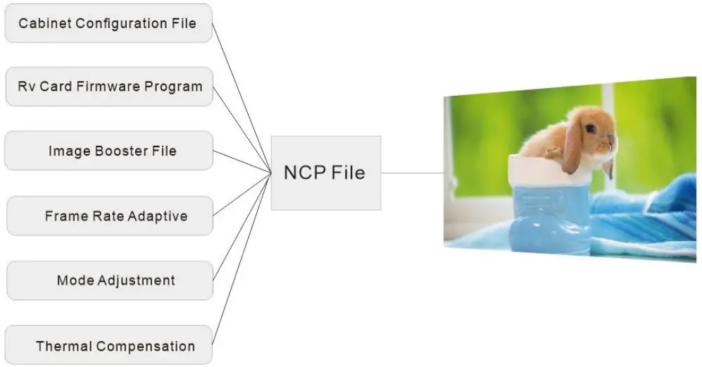 NCP file content