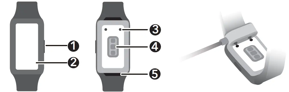 HONOR-ARG-B39-Smart-Watch-01