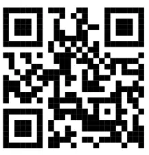 sudio N2 Pro True Wireless Earphone -