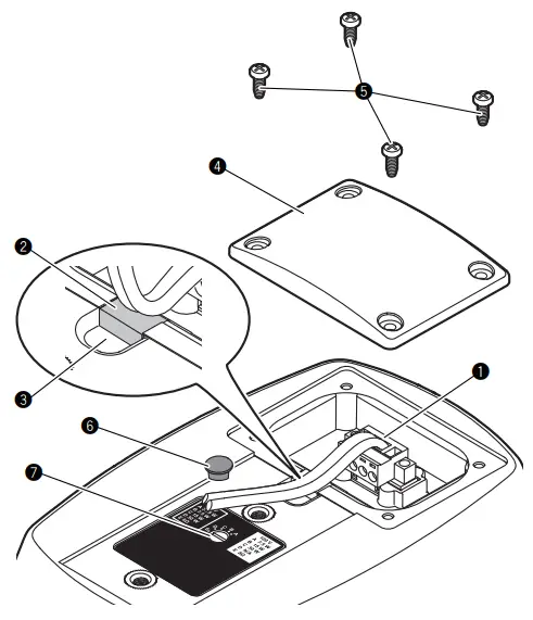 Loop through connection
