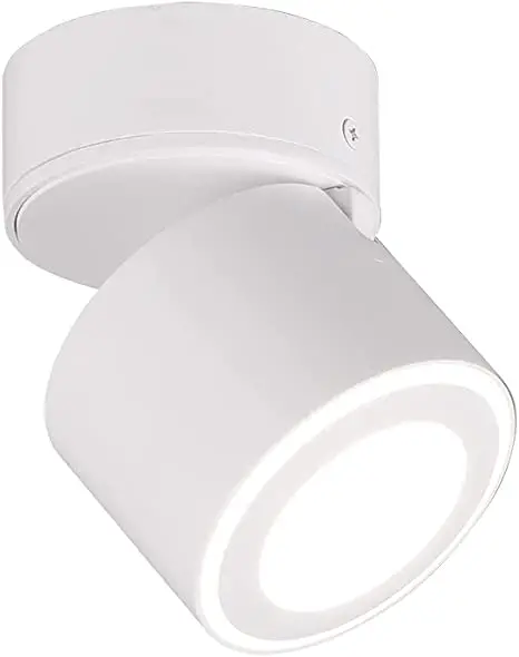 TRIO-652910131-LED-Ceiling-and-Surface-Mounted-Light-fig-1