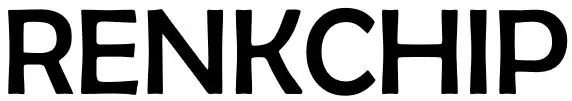 Renkchip-logo