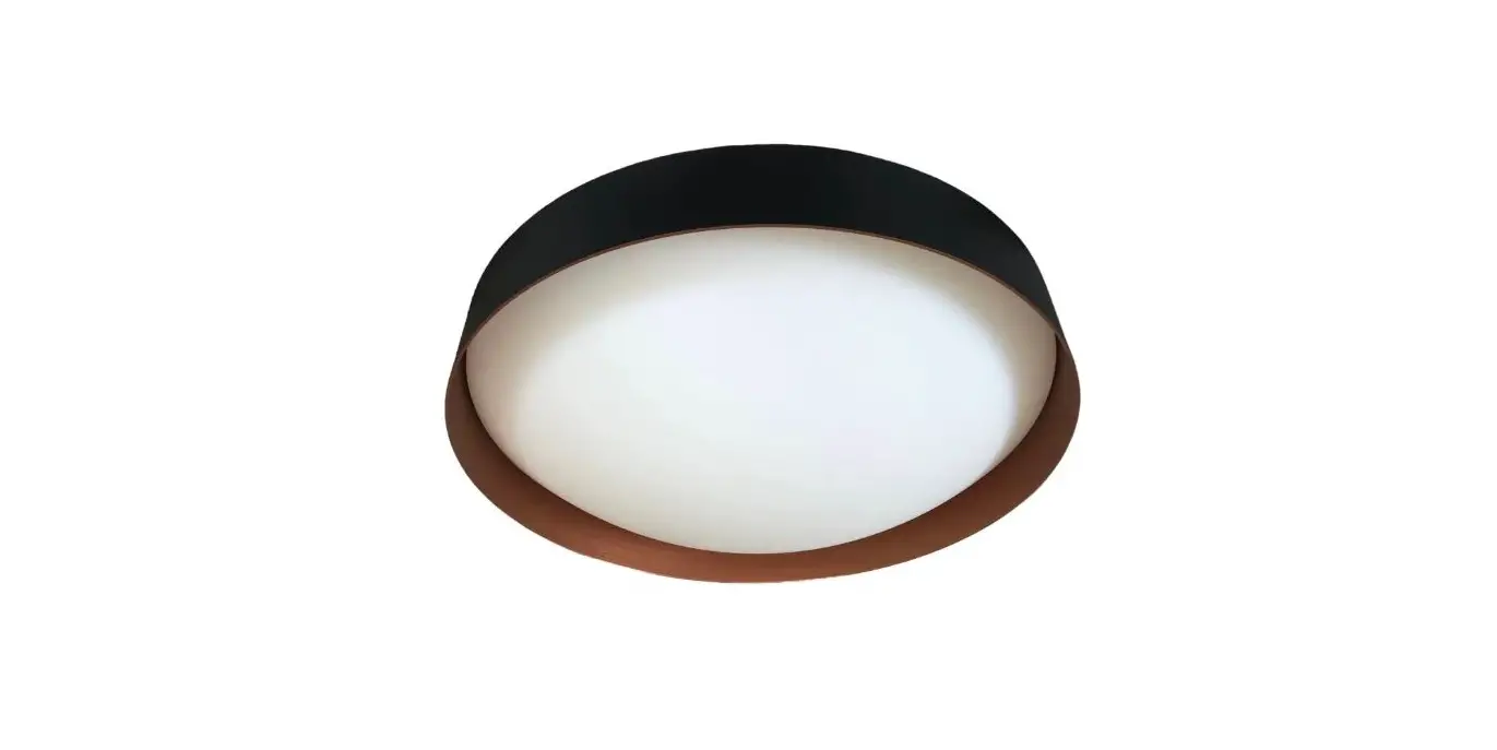 Bega 51050.1 Led Ceiling Luminaire Instruction Manual Bega 51050.1 Led Ceiling Luminaire Instruction Manual