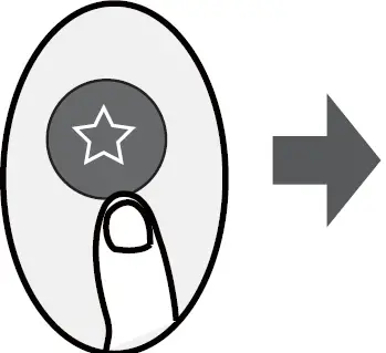 Ferroli AMBRA Remote Controller 24