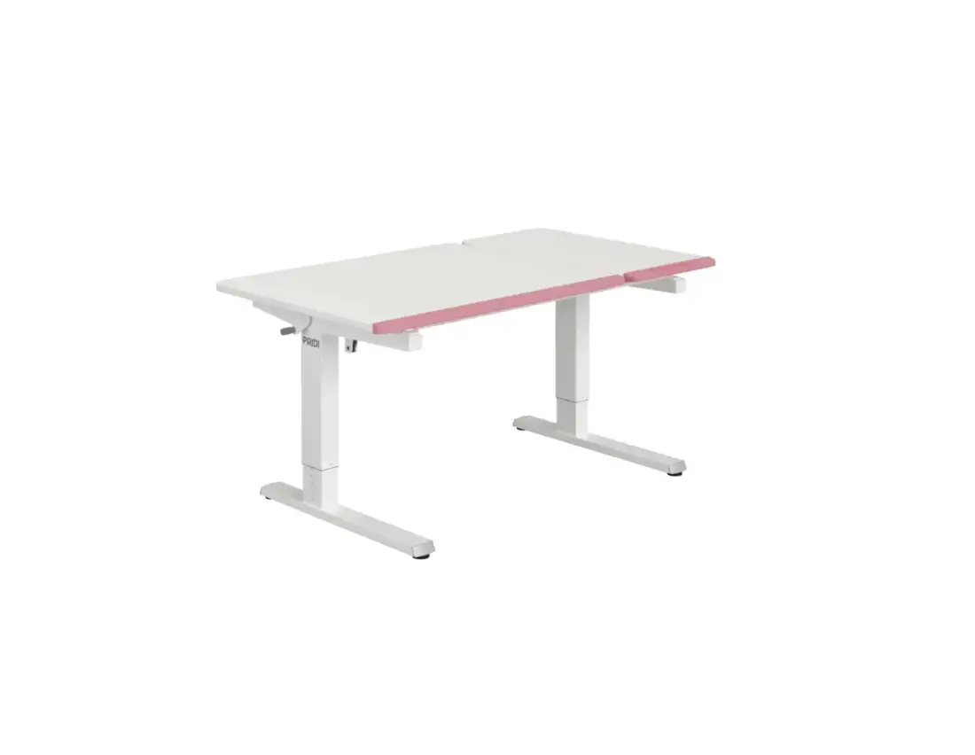 Paidi 3219 Desk E-lion Instructions Paidi 3219 Desk E-lion Instructions