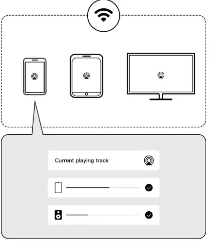 WiiMPro ASR002 Hi-Res Audio Streamer-fig11