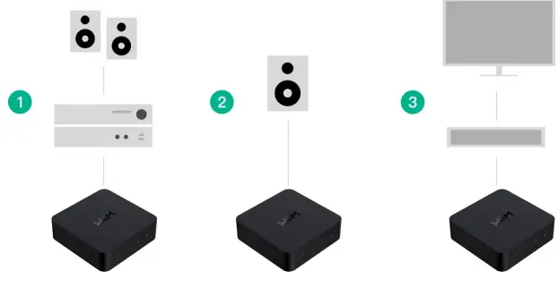 WiiMPro ASR002 Hi-Res Audio Streamer-fig6