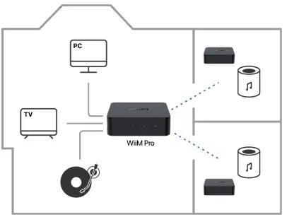 WiiMPro ASR002 Hi-Res Audio Streamer-fig8