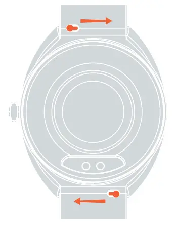 Replace the watchband