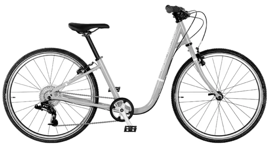 ISLABIKES Joni 20 Bike