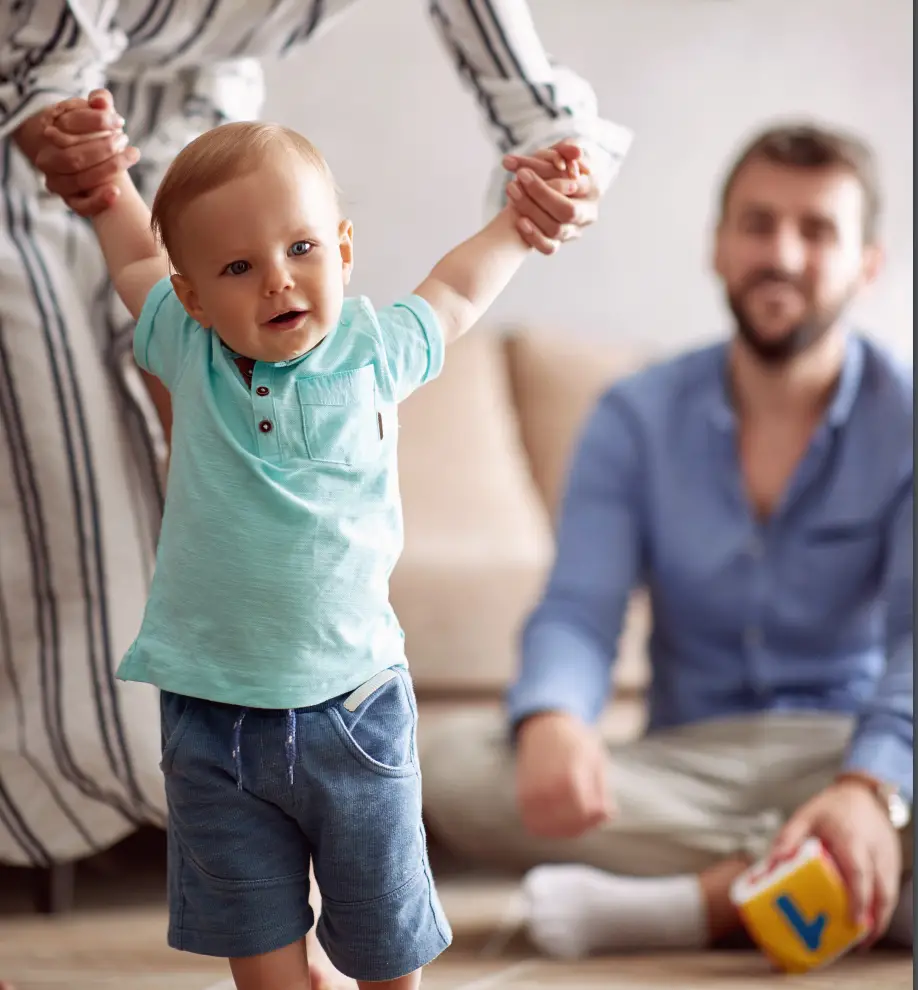 Using Professional Security Cameras