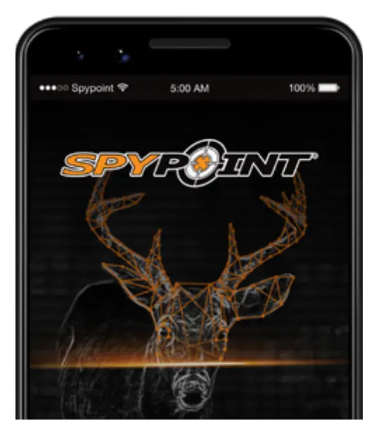 Before You Go To The Field