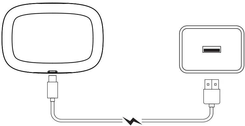 Charge the charging case