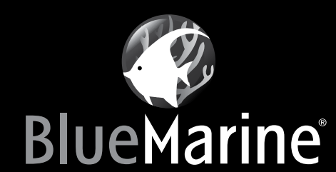 BlueMarine  Logo