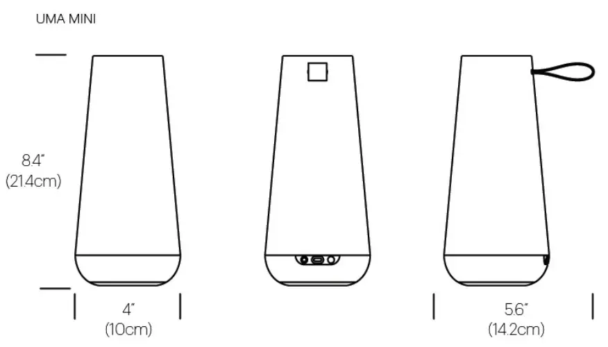 TROY LIGHTING UMA LED Mini Sound Lantern- Fig 1