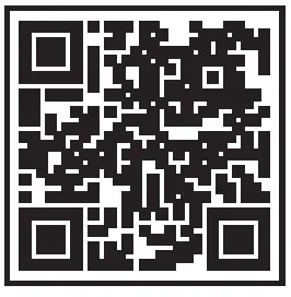 ACID-CITY-15-FI-Filink-Front-Basket-FIG- 8