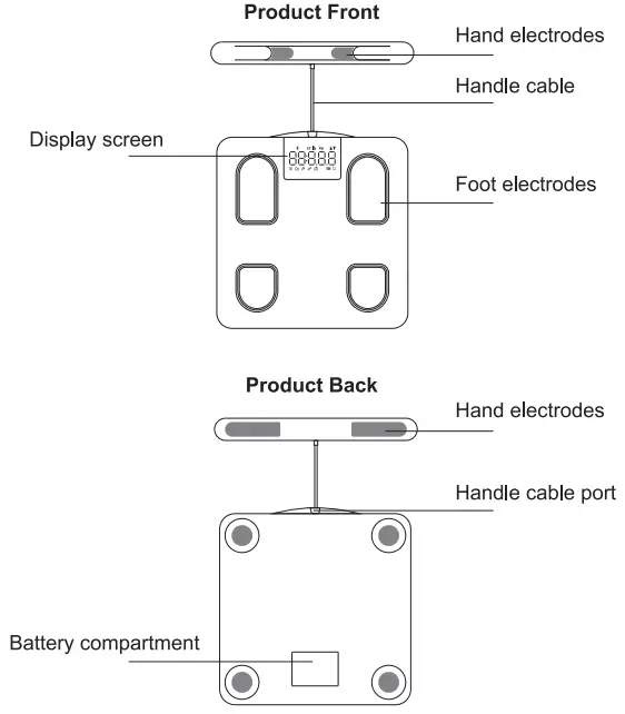 Yolanda CS10E Professional Body Composition Analyzer - Appearance