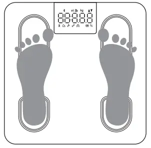 Yolanda CS10E Professional Body Composition Analyzer - Pairing 1
