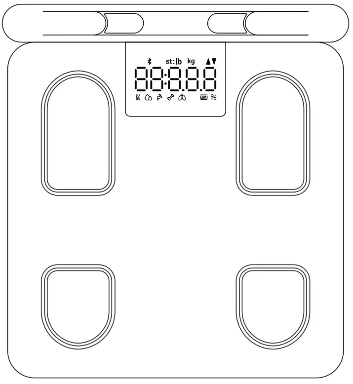 Yolanda CS10E Professional Body Composition Analyzer