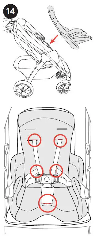 Chicco-2021-Bravo-Primo-Stroller-25