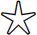 Star icon 2