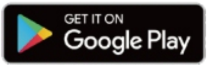 Google Play Store icon