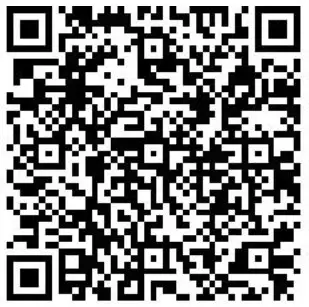 MINGDA Magician X2 3D Printer Direct Extruder Dual Gear Auto Level - qr 2