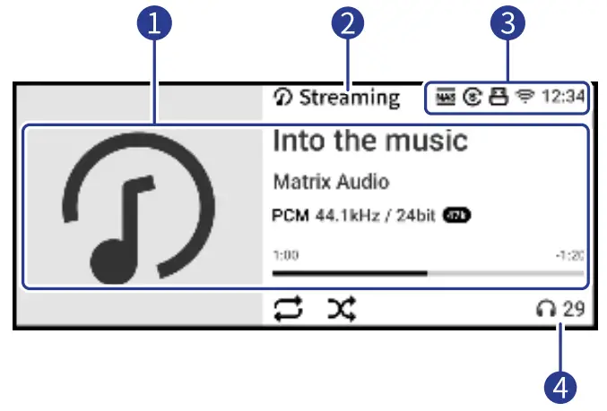 Matrix Audio element X2 Music Streamer - Display Information