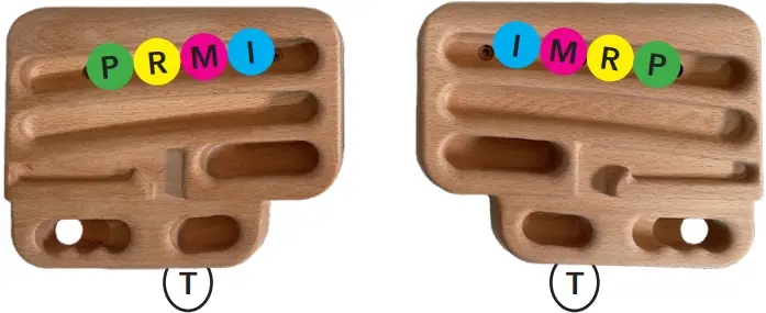 TRANGO Rock Prodigy Natural Hangboard System - WIDE PINCH