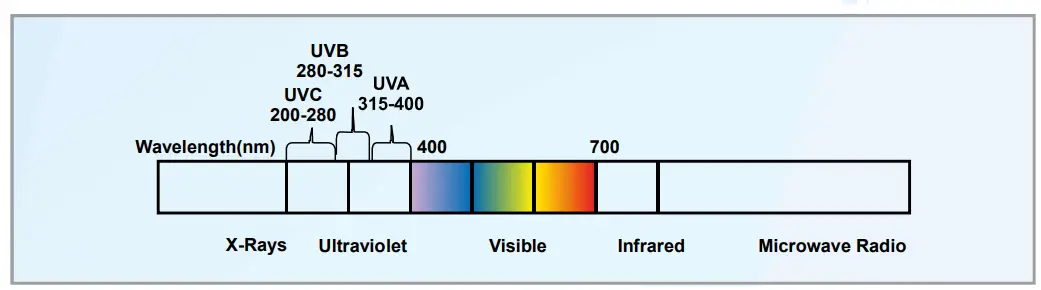 UV Process