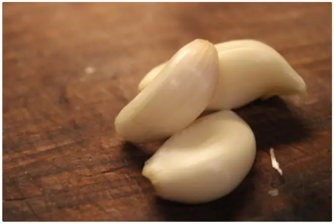 Garlic+ Cheese= …garlicheese?