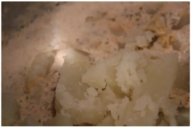 Can You Fry to Stop the Puns?