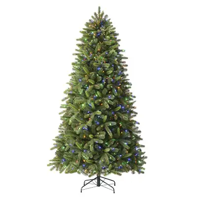 WILLIAMS SONOMA TG66P4368L03 Classic Fraser Fir-6.5-LED Clear.jpg