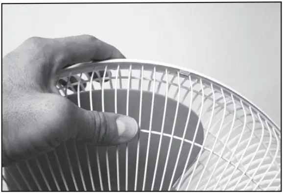 Fan Assembly