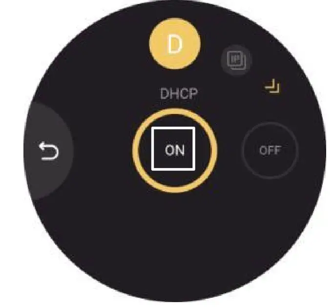RGBlink TAO 1mini All In One Live Streaming Codec - The first way is to use DHCP to automatically obtain IP