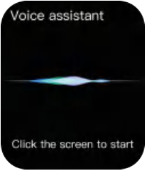 Voice Assistant