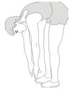 Warm Up/cool Down Exercises