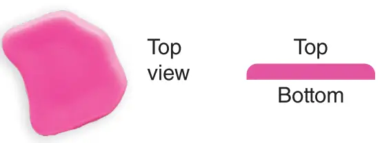 FABER CASTELL 6332 Rainbow Garden Stone - Figure 4