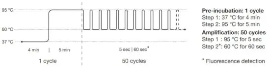 FIG 10 Program Setup.JPG