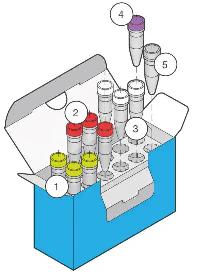 FIG 2 KIT 2300 49.JPG