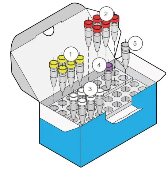 FIG 4 KIT 2300 50.JPG